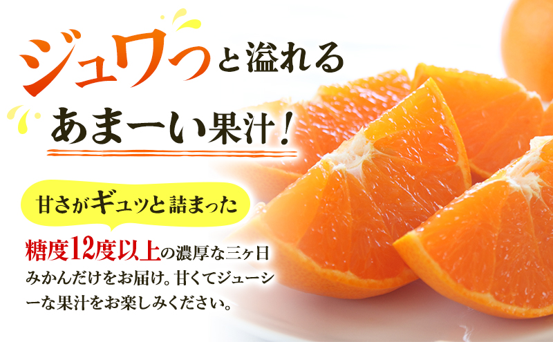 5kg 三ヶ日みかん プレミアム 青島 蜜柑 ミカン 果物 フルー