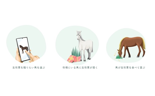 【3回定期便】生牧草バンクで使えるクーポン / 中央牧草センター / 生牧草バンク 牧草バンク クラウドギフティング 馬 生牧草 牧草 引退馬 功労馬 元競走馬 牧場 支援 ギフト
