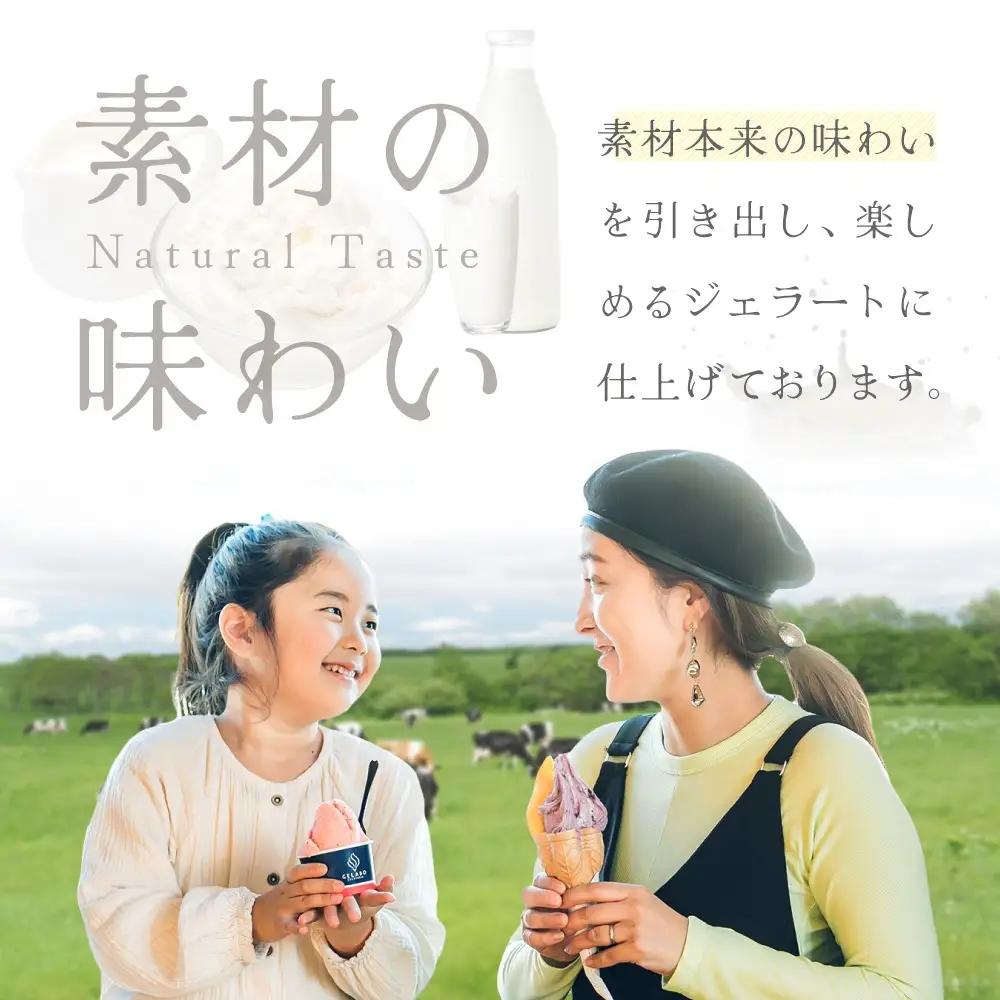 北海道牛乳使用ジェラート おすすめ10個セット EK0000004 (別海町ジェラート アイスジェラート ジェラートジェラートジェラートジェラート）