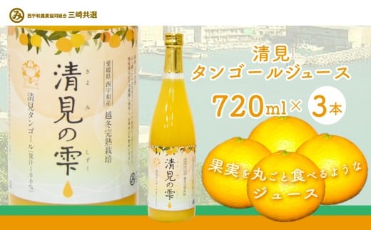 清見タンゴールジュース （720ml×3本）※離島への配送不可 【 ふるさと納税 人気 おすすめ ランキング オレンジ みかん みかんジュース ミカンジュース みかんじゅーす 国産 贈答 内祝い お返し お見舞い お供え お中元 お歳暮 プレゼント 清見 清見タンゴール 愛媛県 伊方町 送料無料 】 IKTBD001