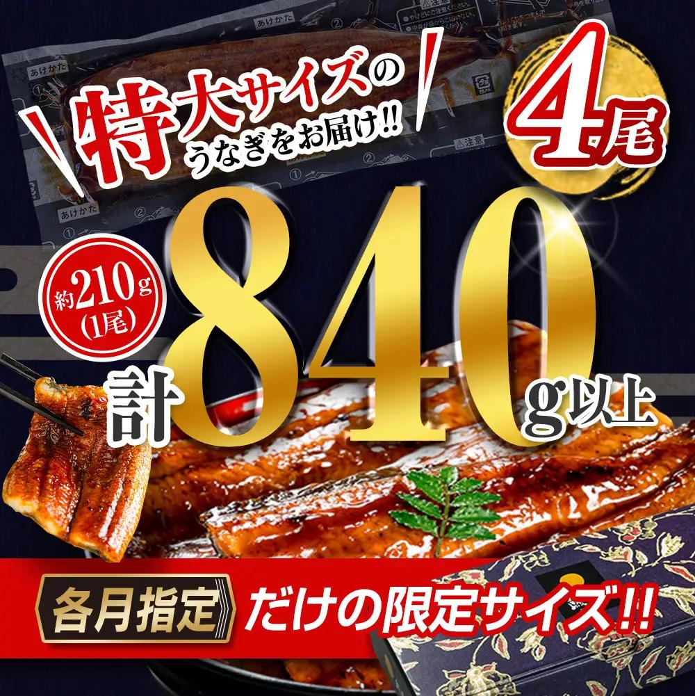 2026年9月配送 鰻楽 特大 うなぎ蒲焼 4尾840g C388-840-2609