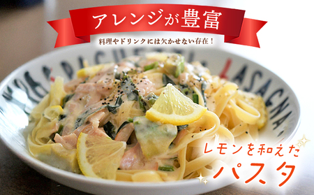 ＜天晴レモン 贈答用 約2kg＞ フルーツ 果物 くだもの レモン れもん 檸檬 柑橘 プレゼント 贈り物 お返し お礼 ギフト アレンジ 料理 国産 国産レモン 愛媛県産 特産品 株式会社笑丸 愛媛