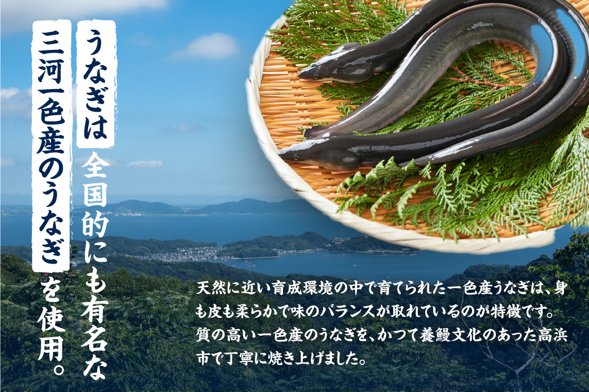 三河一色産　うなぎの蒲焼３尾