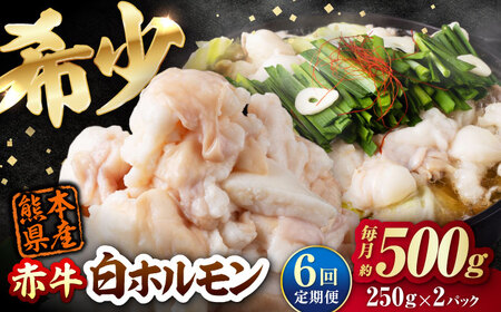 【全6回定期便】 赤牛 ホルモン 500g（250g×2パック） / 小腸 シロホルモン もつ 熊本県産 冷凍[AYBV038]