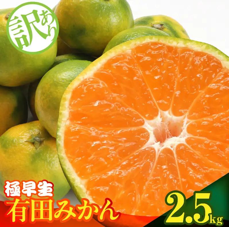 訳あり【2026先行予約】 みかん 極早生 箱込 2.5kg ( 内容量 2.3kg ) サイズミックス 有田みかん 和歌山県産_MK1085