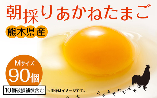 
卵 朝採り あかねたまご 90個（Mサイズ）10個破損補償含む
