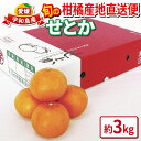 【ふるさと納税】 せとか 高級柑橘 優品 3kg 先行予約 えひめ南農業協同組合直販センター 柑橘の 大トロ 果物 フルーツ 愛媛ミカン 愛媛蜜柑 愛媛みかん 高級 ブランド 希少 mikan 蜜柑 みかん 果物 フルーツ 柑橘 農家直送 産地直送 数量限定 国産 愛媛 宇和島 B018-009006