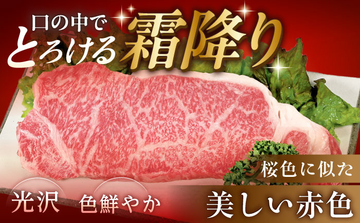 【チルド（冷蔵）発送！】 「飛騨牛」 A5等級 サーロインステーキ 200g×2枚 / 牛肉 焼肉 鉄板焼き 網焼き BBQ / 恵那市 / 東美濃農業協同組合 [AUFX011]