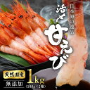 【ふるさと納税】鮮度抜群の大きい甘エビ1kg小分け（総重量1.2kg） ※無添加 天然甘えび 真空パック済 発送時期が選べる(18209)