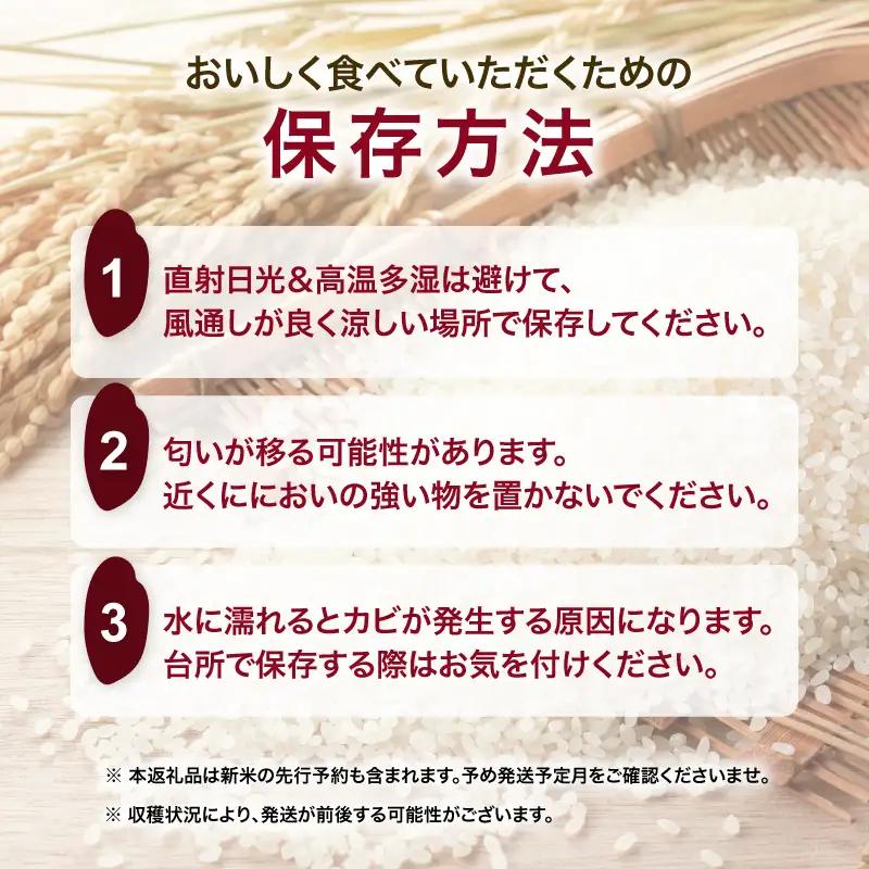 【新米予約】新米 ひとめぼれ5kg 精米 ブランド米