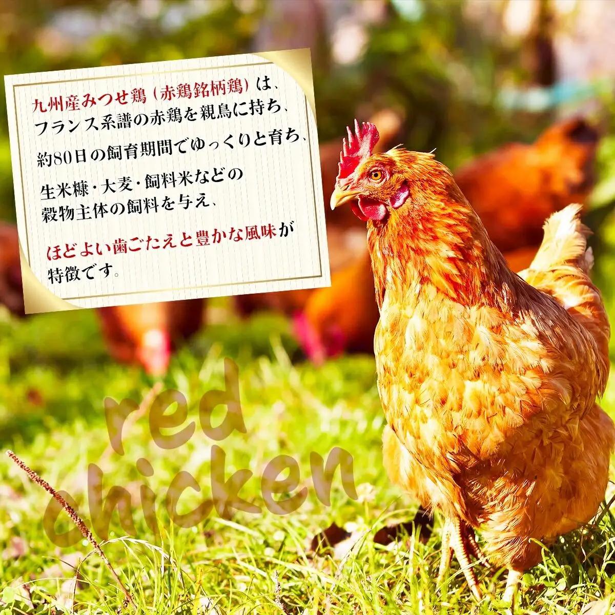 【定期便 年6回】みつせ鶏 バラエティ定期便