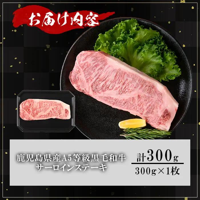 鹿児島県産 A5等級 黒毛和牛 贅沢 厚切り とろける サーロインステーキ (計300g・300g×1枚)【KNOT】B213