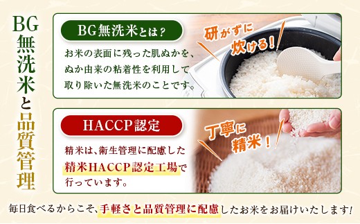 令和8年産 無洗米 こしひかり 10kg 宮崎県産 米 コメ 精米 BG無洗米 HACCP コシヒカリ