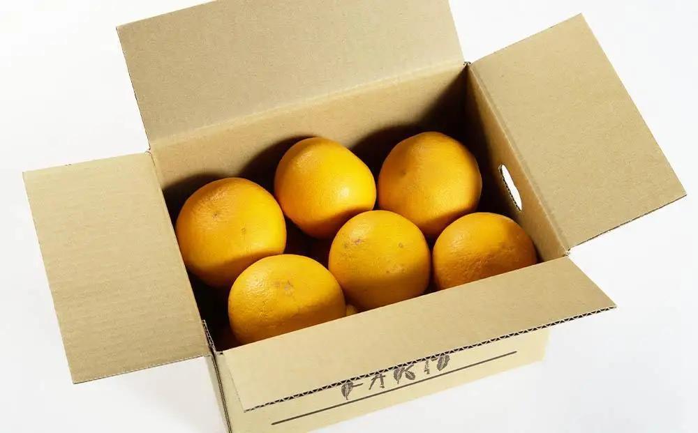 春峰(しゅんぽう) 和歌山県産 5kg【2027年先行予約】【Mg5】