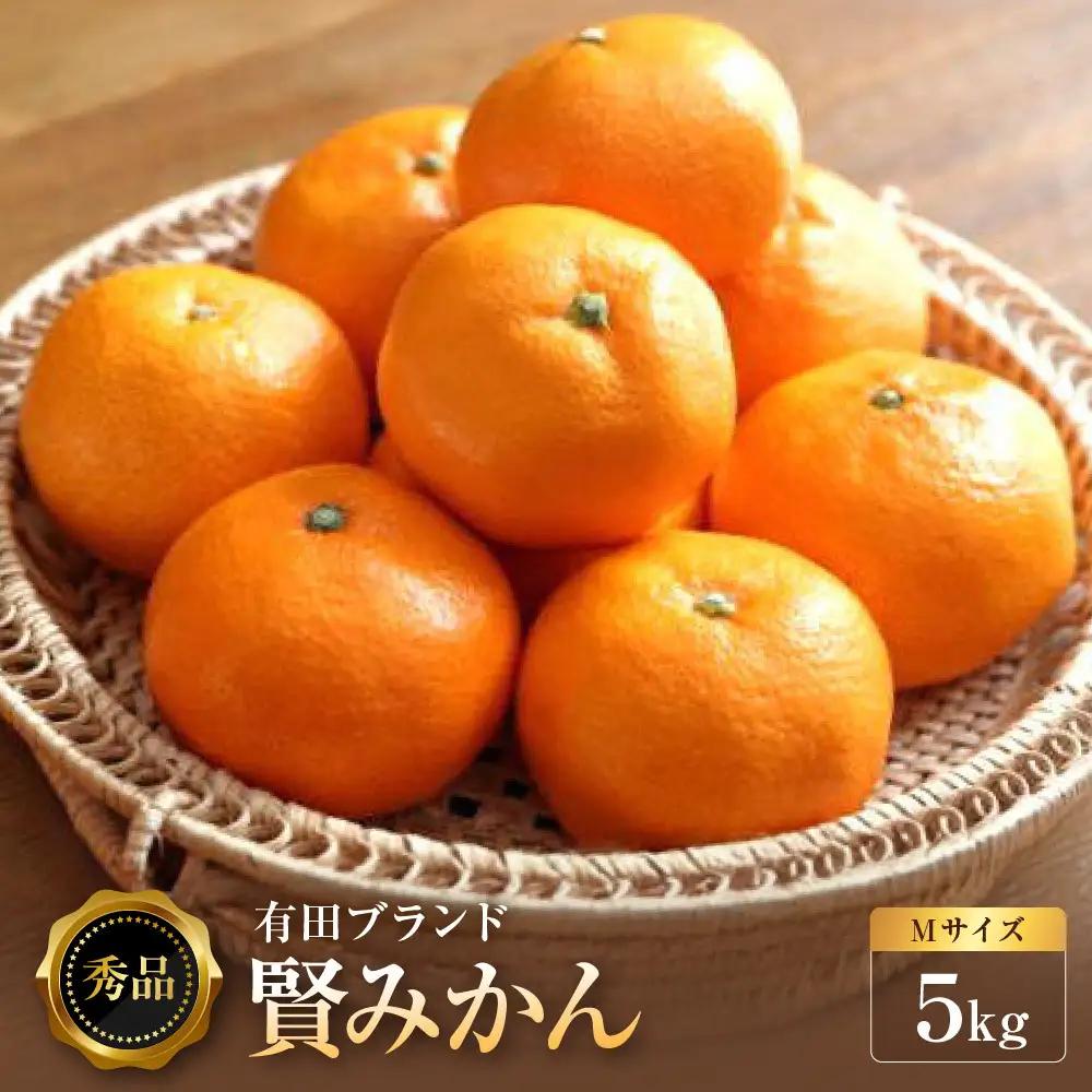 [秀品]有田のブランド「賢みかん」5kg(Mサイズ) ［2026年11月中旬頃より順次発送］