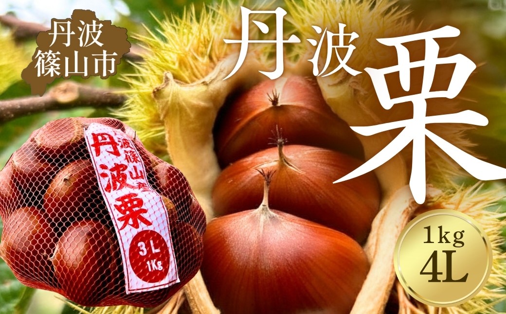 
                  〈品評会受賞〉丹波栗 4L 1kg 【低温追熟】安心安全 レシピ付き クリ くり 栗ご飯 栗きんとん 兵庫県丹波篠山市
                