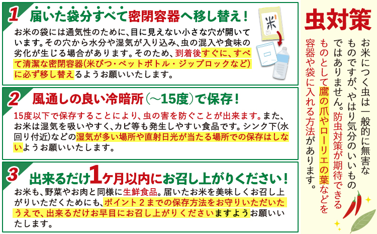 【12ヶ月定期便】無洗米 定期便《お申込み翌月から出荷》 熊本ふるさと無洗米 10kg 訳あり 米 コメ こめ 熊本県産 米 ふるさと納税 わけあり 以上のお米ならこれ お米 おこめ 熊本 SDGs 