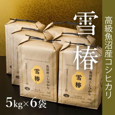 ふるさと納税 津南町 高級魚沼産コシヒカリ「雪椿」精米30kg(5kg×6袋)　特別栽培米　※一括配送