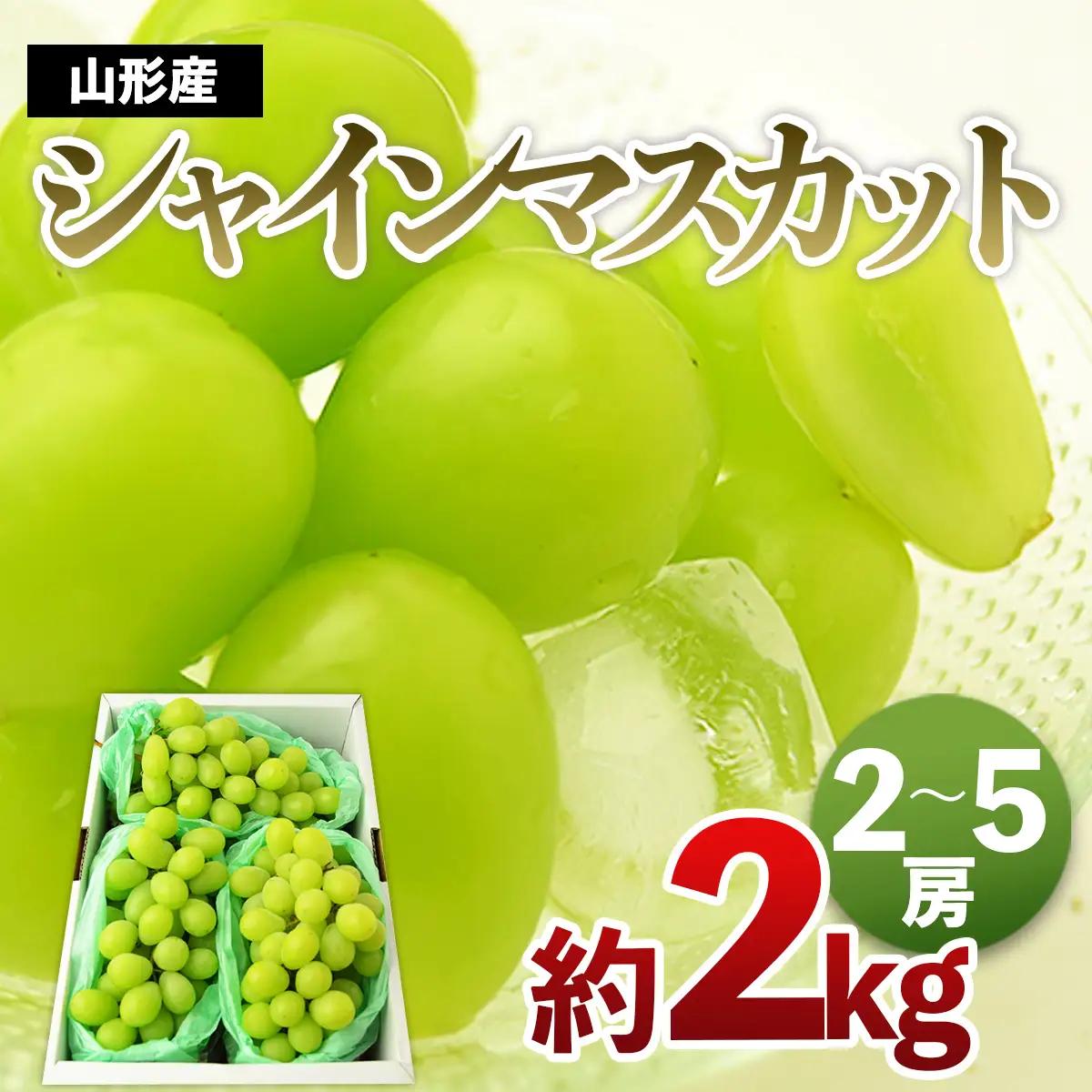 山形のシャインマスカット 秀品 約2kg(2～5房)[10月中旬～11中旬発送]【令和8年産先行予約】FS24-643 くだもの 果物 フルーツ 山形 山形県 山形市 2026年産