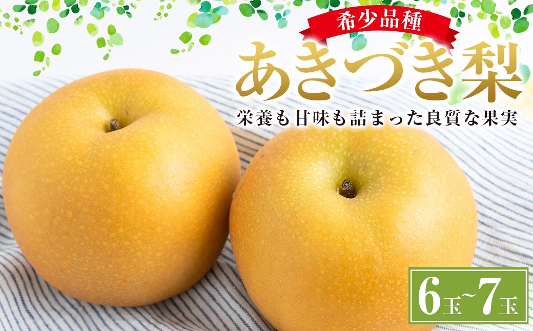 
            【先行予約】しゅうたの畑 希少品種 あきづき梨 6玉から7玉 【2025年9月上旬から9月中旬出荷予定】 梨 ナシ フルーツ 果物 うきは市
          