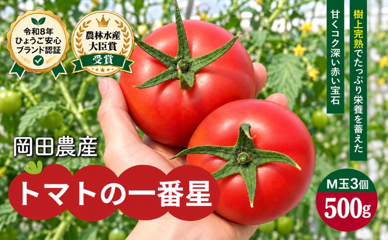 トマト 500g トマトの一番星 野菜 とまと 完熟 高糖度 甘い 受賞 冷蔵配送