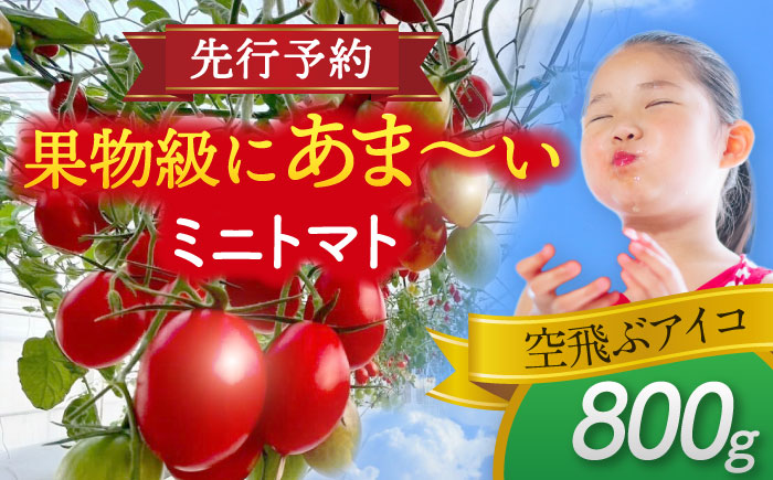 【先行予約】【1月より順次発送】 ミニトマト (空飛ぶアイコ)800g トマト 野菜 新鮮 期間限定トマト 愛西市 / 株式会社石原農園[AEBG006]