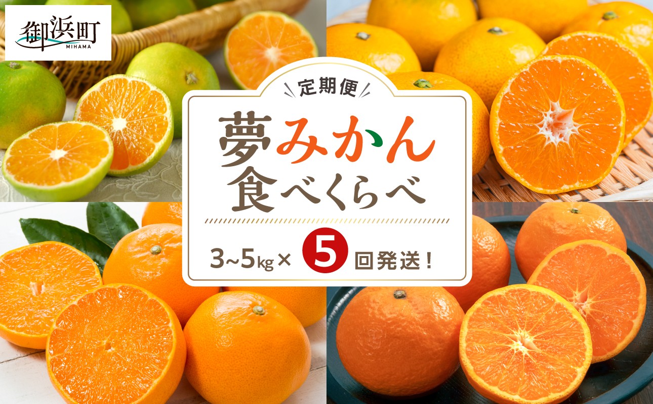 
                  アグリの夢みかん食べくらべ（全5回）【期間限定 数量限定 果物 フルーツ みかん デザート 定期便 定期 5回 三重県 御浜町】
                