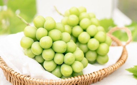 シャインマスカット 2房 （1kg以上） 【2026年8月下旬から10月上旬頃発送予定】 ／ くだもの 果物 果実 フルーツ ぶどう ブドウ 葡萄 マスカット 冷蔵 岡山県 美咲町