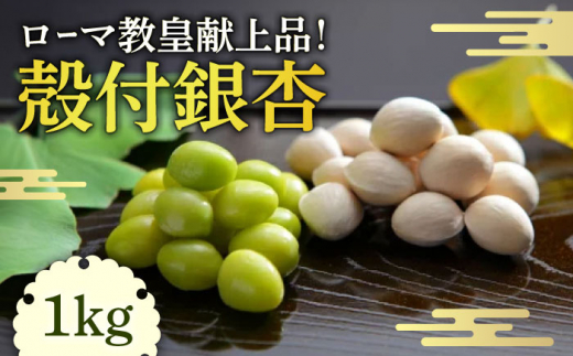 殻付 銀杏 1kg / 冷凍 野菜 銀杏 ぎんなん ギンナン ぎんなん ギンナン ギンナン / 南島原市 / セミナリヨの丘銀杏畑 [SBC001]