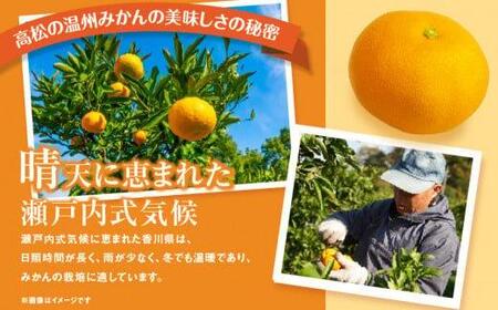 瀬戸内温州みかん　小粒サイズ　約2.5kg【10月中旬～1月下旬配送予定】
