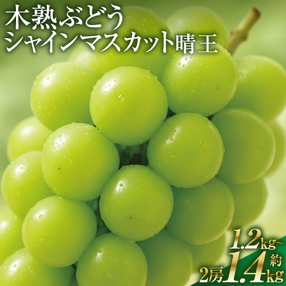 【ふるさと納税】＜選べる内容量＞ 木熟ぶどう ハレノシャイン シャインマスカット晴王 2房 約1.2kg / 約1.4kg ぶどう ブドウ 葡萄 フルーツ くだもの 果物 果実 デザート 冷蔵 岡山県産 国産 岡山県 倉敷市 送料無料 【2026年9月上旬～10月下旬発送予定】
