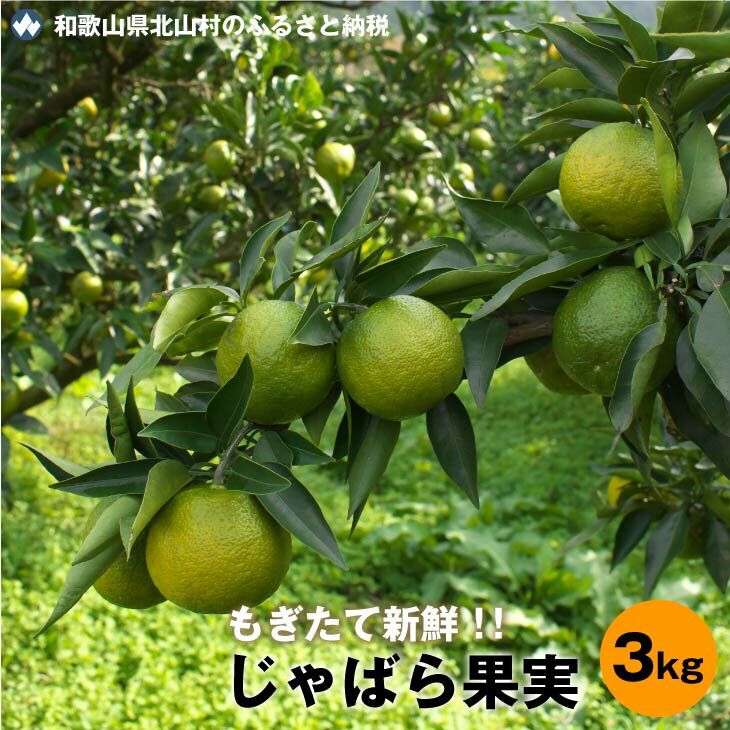 【ふるさと納税】 【期間限定】季節限定のフレッシュな味わい★じゃばら果実（3キロ）※2025年11月下旬より順次発送予定、お届け日指定不可