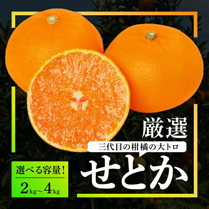 三代目 がつくる 柑橘 の 大トロ 【 せとか 】 3kg 【C31-6】 _ みかん 蜜柑 ミカン かんきつ 国産 愛媛 フルーツ 果物 くだもの 送料無料 新品種 贈り物 ギフト プレゼント 愛媛みかん せとかみかん 【配送不可地域：離島】