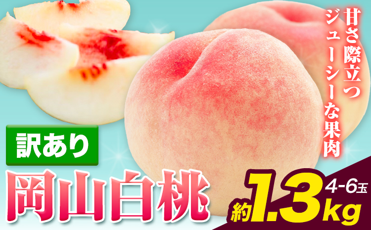 【令和7年度先行予約】訳あり 白桃 桃 1.3kg ハレノフルーツ （犬塚農園） 《2025年6月末-8月中旬頃出荷》岡山県 浅口市 フルーツ モモ 果物 青果 旬 おかやま夢白桃 白麗 白鳳 清水白桃 なつごころ 加納岩白桃 ご家庭用【配送不可地域あり】（北海道・沖縄・離島）