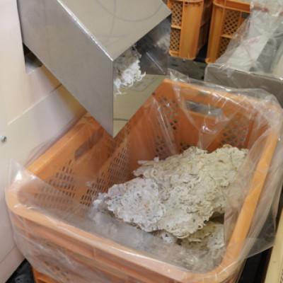 ふるさと納税 伊予市 そのまんまえび 10g×6個セット 薄焼き オカベ|A38 |  | 03