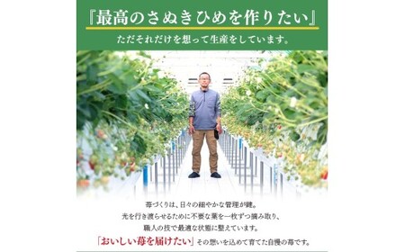先行予約 いちご さぬきひめ 約2kg 苺いちご