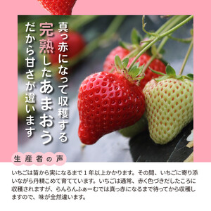 【完熟朝採れ】福岡県産ブランドいちご(12月～3月発送) あまおう 約270g×4パック　R00202