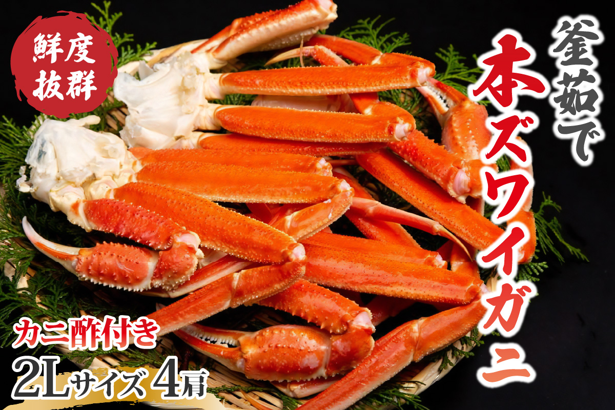 【大好評！カニ酢付き】厳選！！釜茹で　本ズワイガニ　２Lサイズ4肩　YK00406