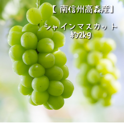【南信州高森産】シャインマスカット 2kg＜9月中旬より発送＞