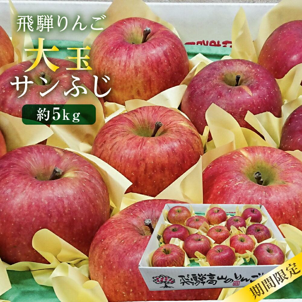 【ふるさと納税】【数量限定/先行予約】（2025年12月発送）飛騨りんご 約5kg 12-14玉 | 飛騨高山産 数量限定 先行予約 完熟 蜜入り 大玉 サンふじ リンゴ 飛騨リンゴ 林檎 蜜リンゴ フルーツ 果物 秋冬 飛騨高山 山本果樹園 MA010