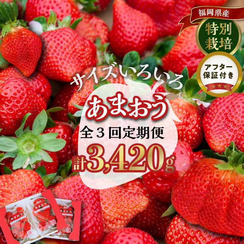 【ふるさと納税】定期便 あまおう いちご 4パック 1140g × 3回 福岡県特産 小玉 特大 サイズ サイズ色々 アフター保証 国産 ストロべリー 果物 フルーツ スイーツ おやつ 冷蔵 特別栽培 有機質肥料 認証 うるう農園 お取り寄せ 福岡県 久留米市 送料無料