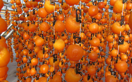 TK24-25A  冷凍カット市田柿 Mサイズ 800g （200g×4） // 長野県 南信州 干し柿 高級ドライフルーツ 高糖度 冷凍フルーツ