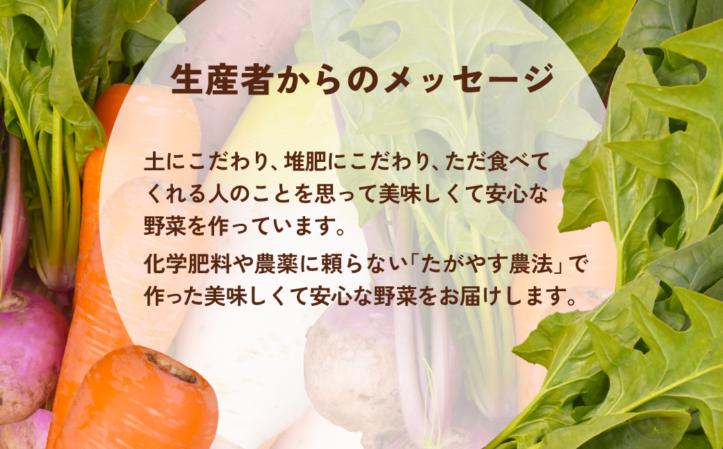有機農業の第一人者 たがやす倶楽部 齊藤 完一さんの「季節の野菜セット」  SMCL001