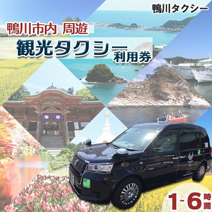 【ふるさと納税】【千葉県鴨川市】観光タクシー貸切利用券 1時間（定員4名／1台）　[0027-0008]
