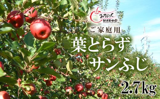 
            No.1926 ふくしまの葉取らずサンふじ　ご家庭用　約2.7kg【2025年度発送】
          