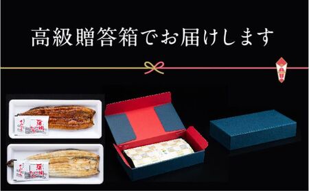 うなぎ 朝じめ鰻 溶岩焼き コンビセット 約140g×2尾 うなぎ