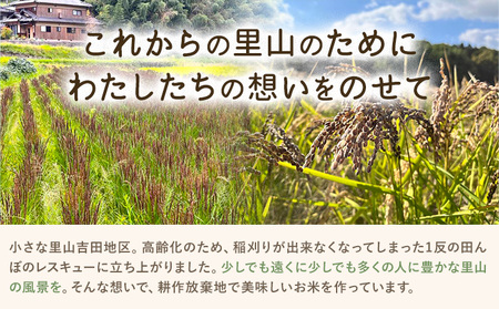 耕作放棄地を耕せ！ おこメール2合 約300g Life3091《30日以内に出荷予定(土日祝を除く)》｜米米米米米米米