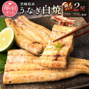 【ふるさと納税】［母の日］うなぎ白焼きギフト 2尾（200～250g/1尾あたり）宮崎県産鰻 蒲焼きタレ付（50ml×1本）