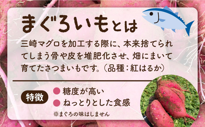 まぐろいもプリン 3個(94.5g×3) まぐろいも プリン ご当地スイーツ【有限会社たのし屋本舗】 [AKAE023]