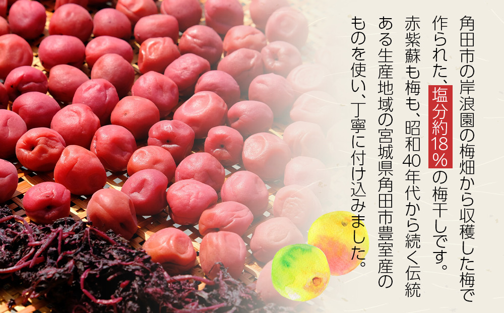 【2026年1月下旬より発送】梅干し 170g ４パック入り 限定400個